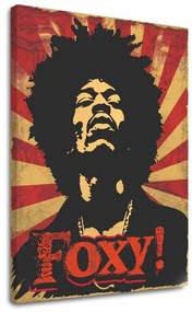 Jimi Hendrix obraz na plátne - Legenda zvuku