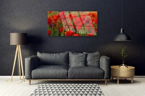Obraz na skle Maky rastlina príroda 100x50 cm