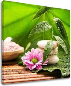 Obraz na stenu FENG SHUI FS021E12