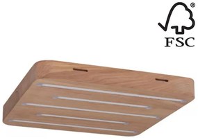 Spot-Light 2130374 - LED Stropné svietidlo NEELE LED/19,5W/230V