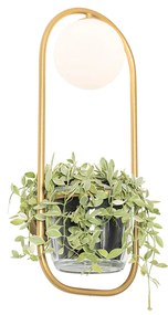 Art Deco nástenná lampa zlatá s bielym sklom - Isabella