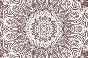 Samolepiaca tapeta Mandala harmónie na hnedom pozadí - 225x150