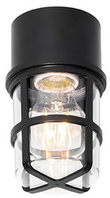 Stropné a nástenné svietidlo čierne s priehľadným tienidlom IP54 - Kiki