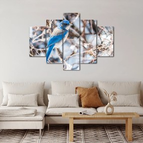 Obraz - Zimný vtáčik (150x105 cm)
