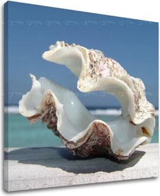 Obraz na stenu PLÁŽ