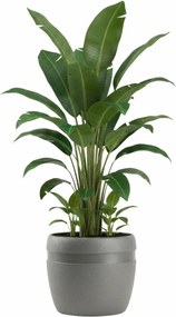 PLASTOVÝ KVETINÁČ LUNA CLASSIC 33X30 CM ANTRACITOVÁ