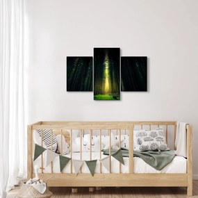 Obraz temného lesa (90x60 cm)