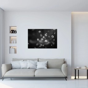 Obraz - Cottongrass na lúke (90x60 cm)