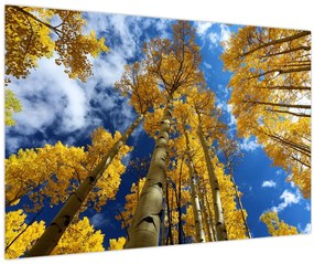 Obraz - Aspen (90x60 cm)