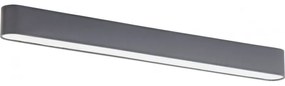 TK-LIGHTING Stropné LED osvetlenie FEDELE, 28,5 W, denná biela, šedé, oválne, 103cm