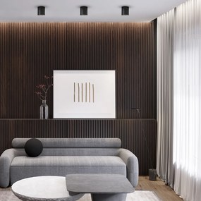 Stropné svietidlo George, 1x čierne kovové tienidlo