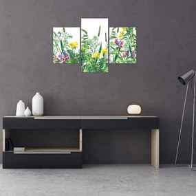 Obraz - Maľované lúčne kvety (90x60 cm)