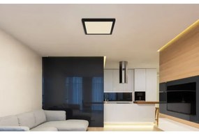 Globo 12380-24B - LED Stropné svietidlo LASSE LED/24W/230V 3000/4000/6500K čierna