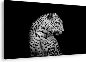 Obraz - Leopard (90x60 cm)