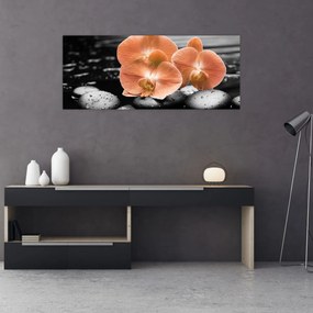 Obraz - Oranžové orchidey (120x50 cm)