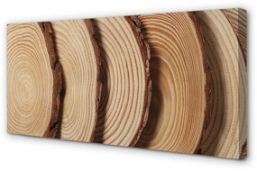 Obraz canvas plátky obilia dreva 100x50 cm