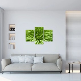 Obraz - Makro snímka rastliny (90x60 cm)