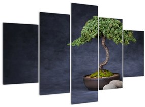 Obraz - Bonsai (150x105 cm)