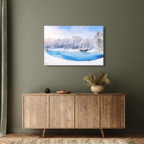 Obraz - Ľadové jazero (90x60 cm)
