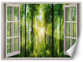 Fototapeta, Pohled z okna na sluneční paprsky v lese - 140x100 cm