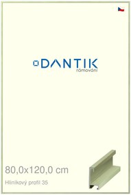 DANTIK rám na obraz 80x120 | ALU Dýha barevná zelená pastel (Plexi Čiré)