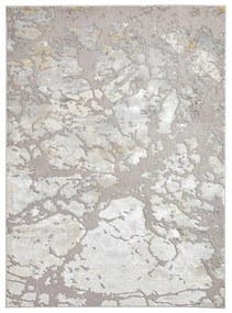 Šedý/v zlatej farbe koberec 220x160 cm Apollo - Think Rugs