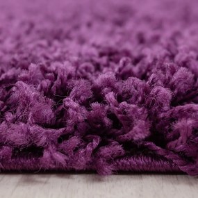 Tmavofialový koberec 80x150 cm Life – Ayyildiz Carpets