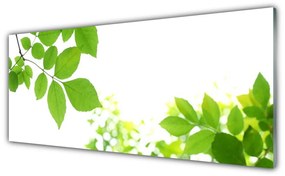 Obraz plexi Plátky rastlina príroda 125x50 cm