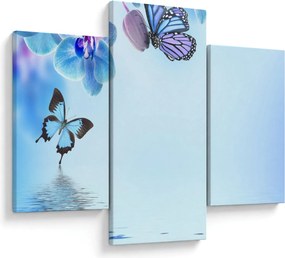 Obraz - Motýľ na kvetoch orchidey, modrý (90x60 cm)