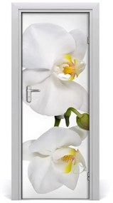 Samolepiace fototapety na dvere biela orchidea 75x205 cm