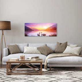 Obraz zamilovaných labutí (120x50 cm)