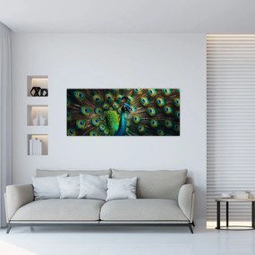 Obraz – Páv (120x50 cm)