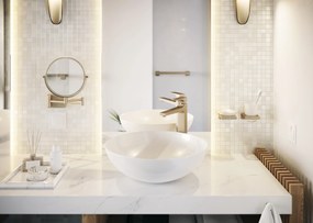 Hansgrohe AddStoris, miska na mydlo, kartáčovaný bronz, HAN-41746140
