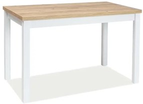 Jedálenský stôl ADAM | 120 x 68 cm Farba: dub zlatý craft / biely mat