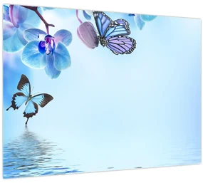 Obraz - Motýľ na kvetoch orchidey, modrý (70x50 cm)