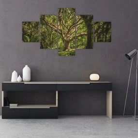 Obraz stromov (125x70 cm), 40 ďalších rozmerov
