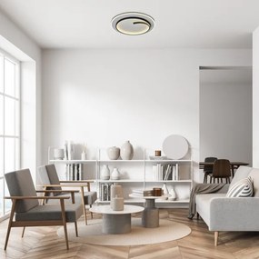 Rabalux 71366 - LED stropné svietidlo NILOO LED/40W/230V 4000K