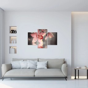 Obraz - Kvety a motýľ (90x60 cm)