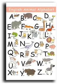 Detský obrázok 45x70 cm Alphabet – Wallity