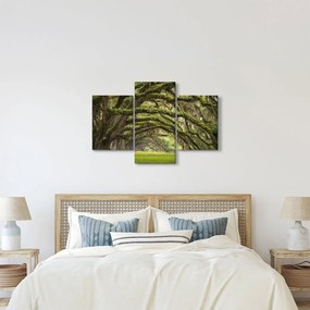 Obraz - Oaks Avenue, Charleston, Južná Karolína, USA (90x60 cm)