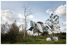 Sivozelený uterák zo 100% bavlny Zone Classic Eucalyptus, 50 × 70 cm