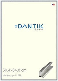 DANTIK rám na obraz 59,4x84 | ALU Sstříbrná broušená (Plexi Čiré)