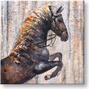 Maľovaný obraz na stenu KÔŇ 80x80 cm