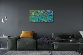 Obraz canvas Umenie kvety dúhovky 100x50 cm