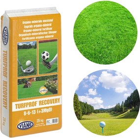 Organické Hnojivo Viano Turfprof Recovery Rc 8-6-13