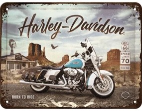 Plechová ceduľa Harley Davidson - Born to Ride, (20 x 15 cm)