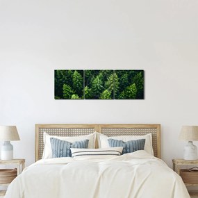 Obraz - Les (s hodinami) (90x30 cm)