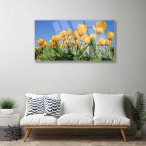 Skleneny obraz Tulipány kvety rastlina 125x50 cm