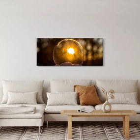 Obraz - Priehľadná bublina (120x50 cm)