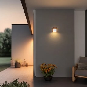 Brilagi-LED Vonkajšie nástenné svietidlo so senzorom TERNI LED/12W/230V antr. IP44